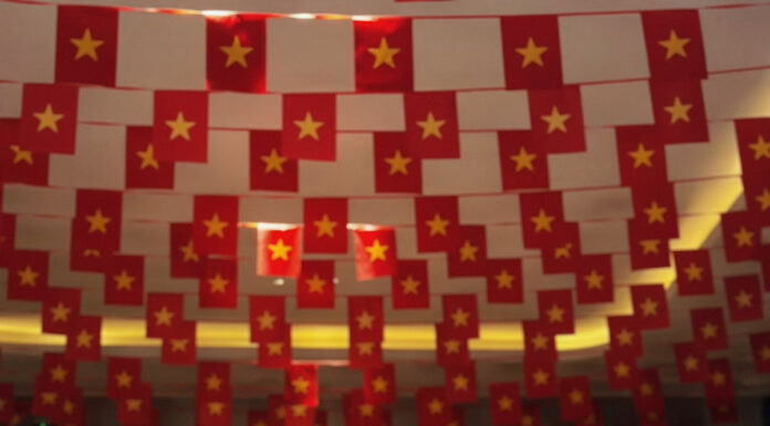 Exclusive Tour: Ninh Dương Lan Ngọc’s Stunning $3 Million Mansion Revealed