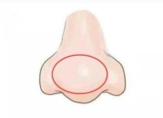 “The Secret Trait 90% of the Wealthy Share: Do You Have This Distinctive Nose Feature?”