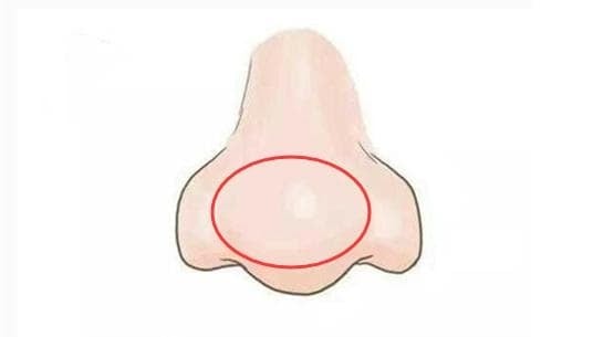 “The Secret Trait 90% of the Wealthy Share: Do You Have This Distinctive Nose Feature?”