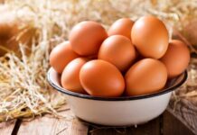 7 Quick and Easy Egg Hair Mask Recipes for Surprisingly Healthy Hair