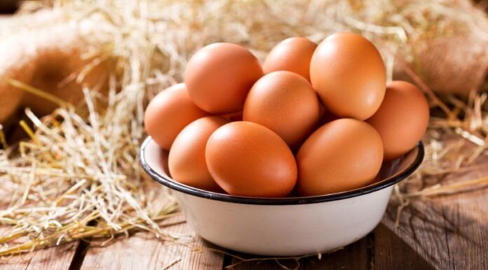 7 Quick and Easy Egg Hair Mask Recipes for Surprisingly Healthy Hair