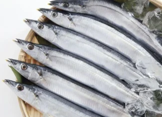 3 Nutrient-Packed Vietnamese Sea Fish Alternatives to Salmon: Affordable and Readily Available at Local Markets