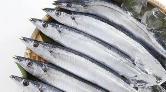 3 Nutrient-Packed Vietnamese Sea Fish Alternatives to Salmon: Affordable and Readily Available at Local Markets