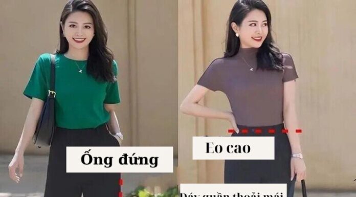 “4 Fall Pant Styles That Flatter Every Figure: Pair with Blouses or Knitwear for Effortlessly Chic Looks”