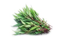 Affordable, Slimy Yet Nutritious: The Underrated Superfood Often Overlooked