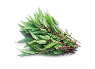 Affordable, Slimy Yet Nutritious: The Underrated Superfood Often Overlooked