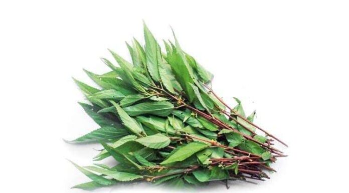 Affordable, Slimy Yet Nutritious: The Underrated Superfood Often Overlooked