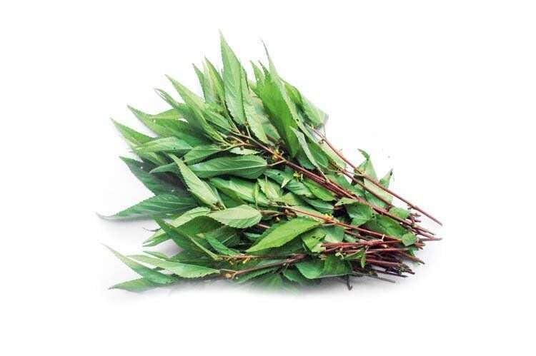 Affordable, Slimy Yet Nutritious: The Underrated Superfood Often Overlooked