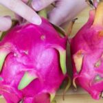 “Dragon Fruit Shopping Tip: Look for This Sign to Ensure Freshness and Safety”