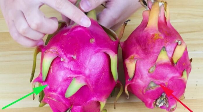 “Dragon Fruit Shopping Tip: Look for This Sign to Ensure Freshness and Safety”