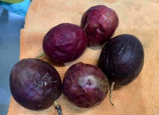 “Parent Complains to Principal After Child Consistently Brings Home Uneaten School Lunch Despite Praising Its Taste”