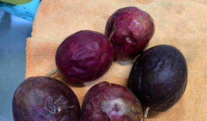 “Parent Complains to Principal After Child Consistently Brings Home Uneaten School Lunch Despite Praising Its Taste”