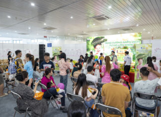 Thousands Flock to VietBaby Da Nang 2025: A Celebration of Motherhood and Childhood