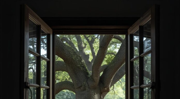 Unlock Prosperity: What Your Windows Reveal About Wealth and Fortune