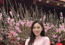 Miss Đỗ Thị Hà Reveals Her Secrets to Lustrous, Voluminous Hair