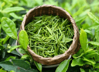 Overnight Herbal Water Rinse for Stronger, Thicker, and Smoother Hair from Root to Tip