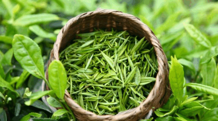 Overnight Herbal Water Rinse for Stronger, Thicker, and Smoother Hair from Root to Tip