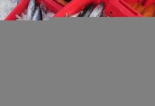 Astonishing Fish Delicacy in Dak Lak: A Rustic Specialty That Leaves Everyone in Awe with a Startled “Wow!”