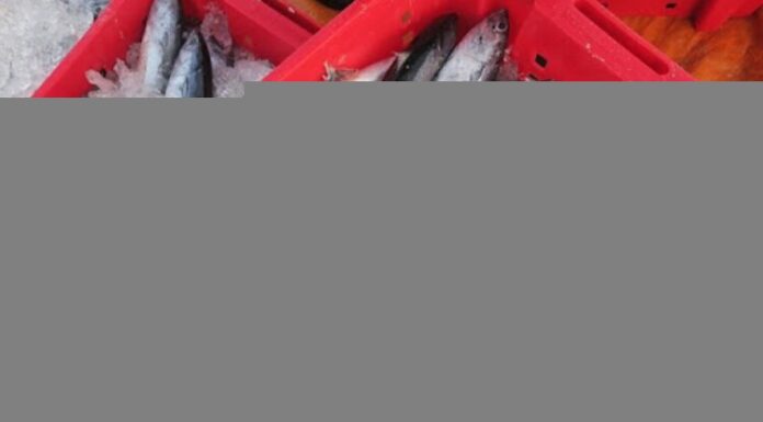 Astonishing Fish Delicacy in Dak Lak: A Rustic Specialty That Leaves Everyone in Awe with a Startled “Wow!”