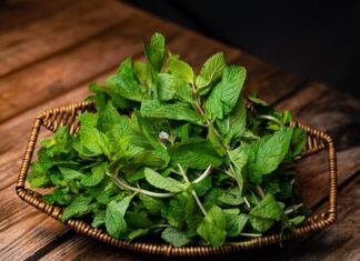 Tiny Spice Leaf: The Ultimate Hair Savior – Stops Hair Fall, Strengthens Roots, and Eliminates Stubborn Dandruff