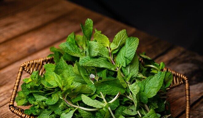 Tiny Spice Leaf: The Ultimate Hair Savior – Stops Hair Fall, Strengthens Roots, and Eliminates Stubborn Dandruff