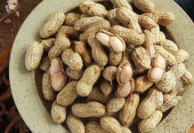 “Boiling Peanuts in Plain Water is Amateurish: Add These 2 Steps for Perfectly Fragrant, Firm, and Buttery Peanuts Every Time”