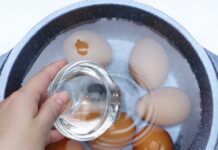 “Boiling Eggs in Hot or Cold Water is Wrong: Master These 5 Tips for Perfectly Peelable Eggs Every Time”