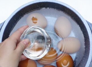 “Boiling Eggs in Hot or Cold Water is Wrong: Master These 5 Tips for Perfectly Peelable Eggs Every Time”