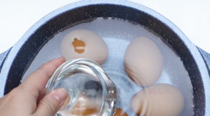 “Boiling Eggs in Hot or Cold Water is Wrong: Master These 5 Tips for Perfectly Peelable Eggs Every Time”
