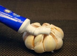 “Mother-in-Law’s Genius Hack: Smearing Toothpaste on Garlic in the Kitchen and Bathroom – 3 Days Later, I Thanked Her”