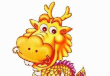 “Homes with These 4 Zodiac Signs Enjoy Lifelong Financial Abundance and Prosperity”