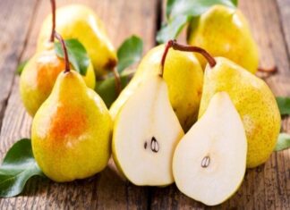 “Top 5 Autumn Superfoods to Boost Liver Health and Enhance Overall Well-being Daily”