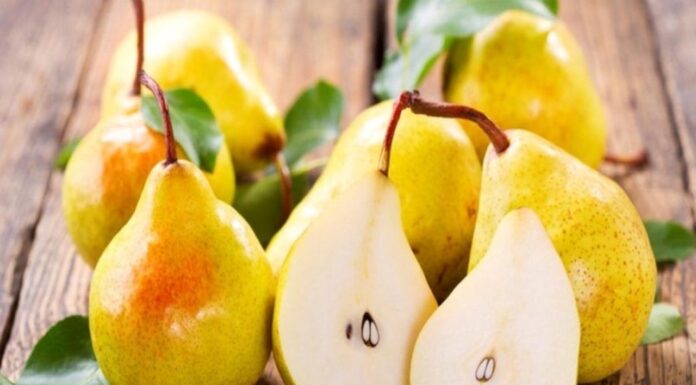 “Top 5 Autumn Superfoods to Boost Liver Health and Enhance Overall Well-being Daily”