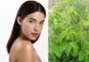 “Discover the Affordable Beauty Secret: A Bunch of Greens for Just a Few Thousand”