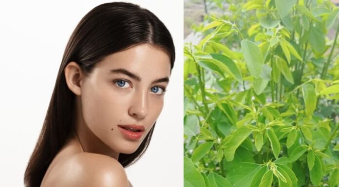 “Discover the Affordable Beauty Secret: A Bunch of Greens for Just a Few Thousand”