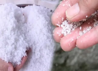 Why Sprinkle Salt Around Your Home After a Storm? Discover These 3 Compelling Reasons
