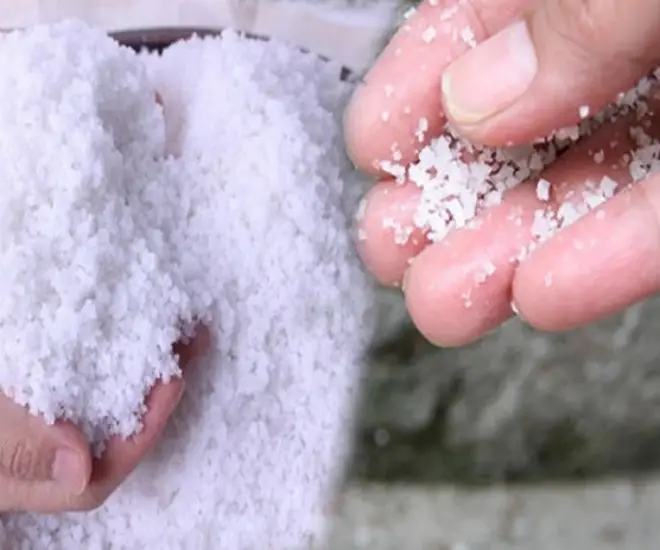 Why Sprinkle Salt Around Your Home After a Storm? Discover These 3 Compelling Reasons