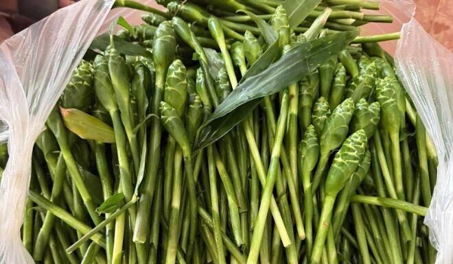 Asparagus-Like Delicacy Sends Hanoi Women on a Hunt: A Once-a-Year Treat Divides Opinions