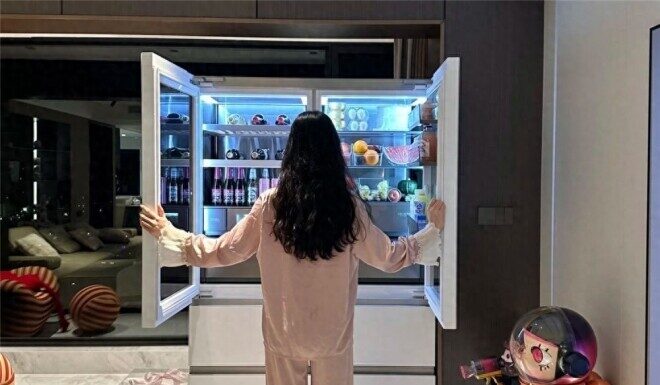 How Do a $200 and a $20,000 Fridge Differ? Discover Why You Get What You Pay For!