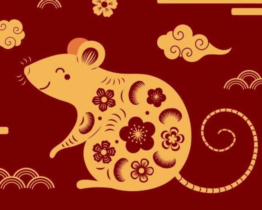 Four Zodiac Signs Poised for Explosive Wealth Growth in the Next Five Years: Blessed by Mentors, Flooded with Prosperity