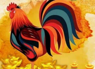 From October 8th to October 31st: 3-Year-Old Bathes in a Sea of Wealth, Seizes the Moment, and Fills Pockets with Prosperity