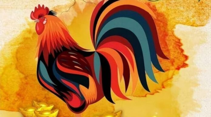 From October 8th to October 31st: 3-Year-Old Bathes in a Sea of Wealth, Seizes the Moment, and Fills Pockets with Prosperity