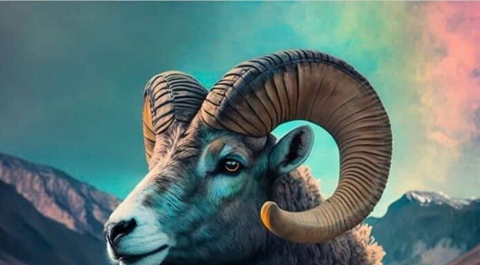 10 Consecutive Lottery Wins (Aug 20–30): Wealth, Fame, and Fortune Peak at Age 3—Life’s Score: 1–0