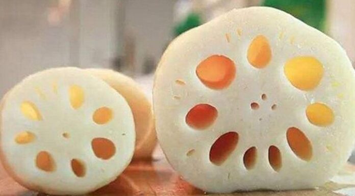 “7 Holes or 9 Holes? Expert Tips from Farmers to Pick the Perfect Lotus Root for Delicious Dishes”