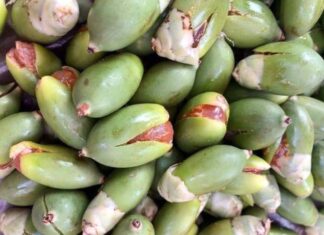 “Once a Decorative Fruit Left to Rot, Now a Gourmet Delicacy Selling for Up to $8.50/kg and Hard to Find”