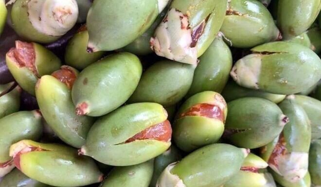 “Once a Decorative Fruit Left to Rot, Now a Gourmet Delicacy Selling for Up to $8.50/kg and Hard to Find”