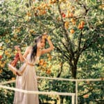 Dalát in Rose Season: Every Corner Frames Stunning Shots Like Tăng Thanh Hà