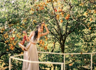 Dalát in Rose Season: Every Corner Frames Stunning Shots Like Tăng Thanh Hà