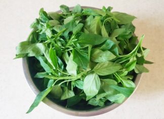 Leaf with Twice the Calcium of Milk: A Delicious Stir-Fry Ingredient to Boost Spleen Health and Reduce Inflammation, Yet Rarely Eaten