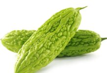 “Bitter Melon Shopping Hack: How to Choose Less Bitter Fruits Like a Pro Chef”